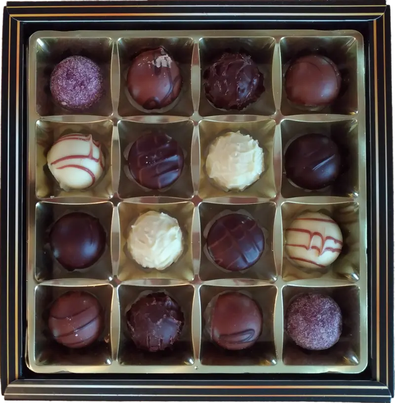 A box of assorted chocolate truffles in neat rows